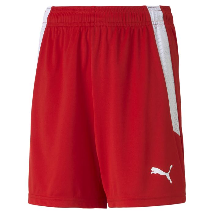 PUMA TEAMLIGA SHORTS - Kinder main product photo